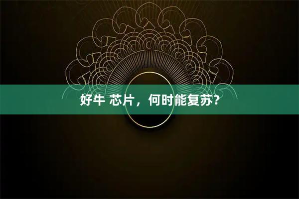 好牛 芯片，何时能复苏？