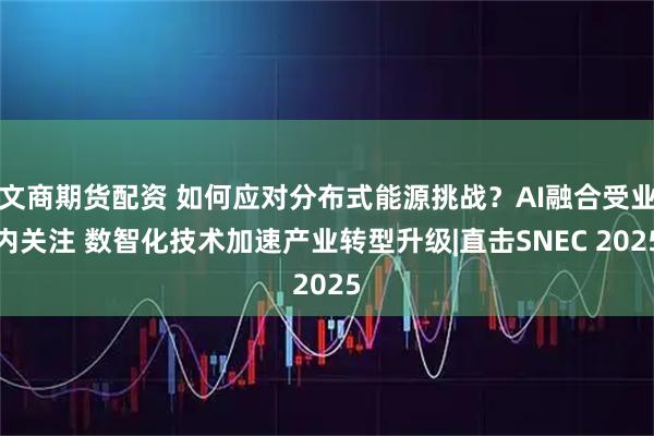 文商期货配资 如何应对分布式能源挑战？AI融合受业内关注 数智化技术加速产业转型升级|直击SNEC 2025
