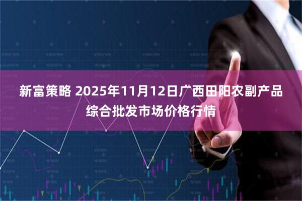新富策略 2025年11月12日广西田阳农副产品综合批发市场价格行情