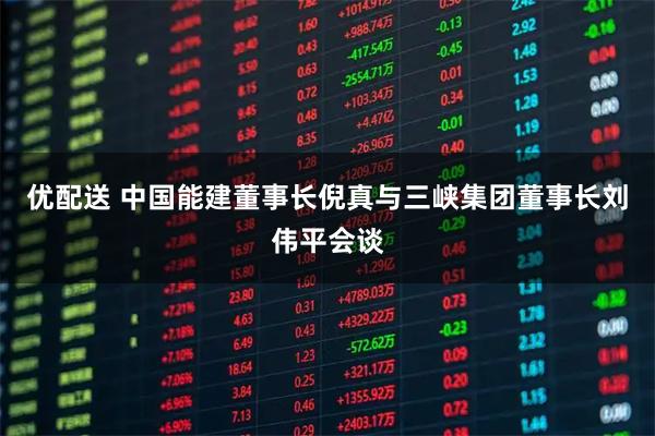 优配送 中国能建董事长倪真与三峡集团董事长刘伟平会谈