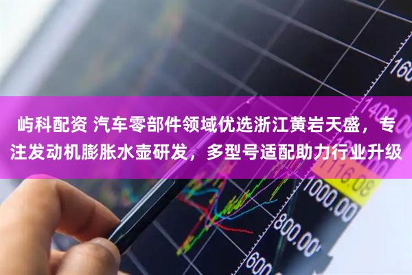 屿科配资 汽车零部件领域优选浙江黄岩天盛，专注发动机膨胀水壶研发，多型号适配助力行业升级