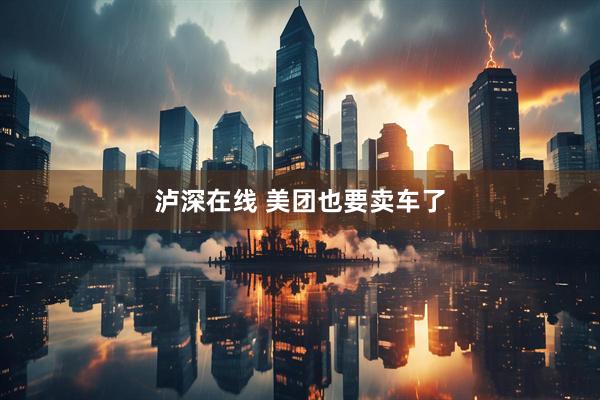 泸深在线 美团也要卖车了